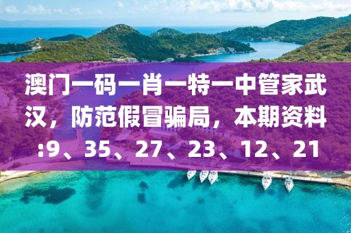 澳门一码一肖一特一中管家武汉，防范假冒骗局，本期资料:9、35、27、23、12、21