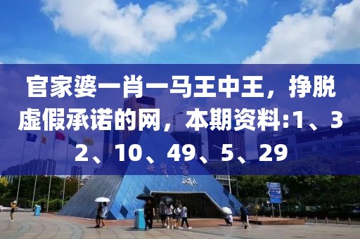 官家婆一肖一马王中王，挣脱虚假承诺的网，本期资料:1、32、10、49、5、29