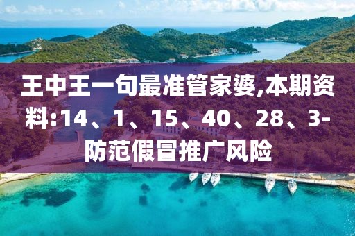 王中王一句最准管家婆,本期资料:14、1、15、40、28、3-防范假冒推广风险