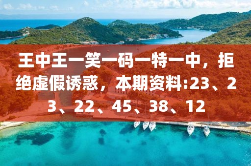 王中王一笑一码一特一中，拒绝虚假诱惑，本期资料:23、23、22、45、38、12